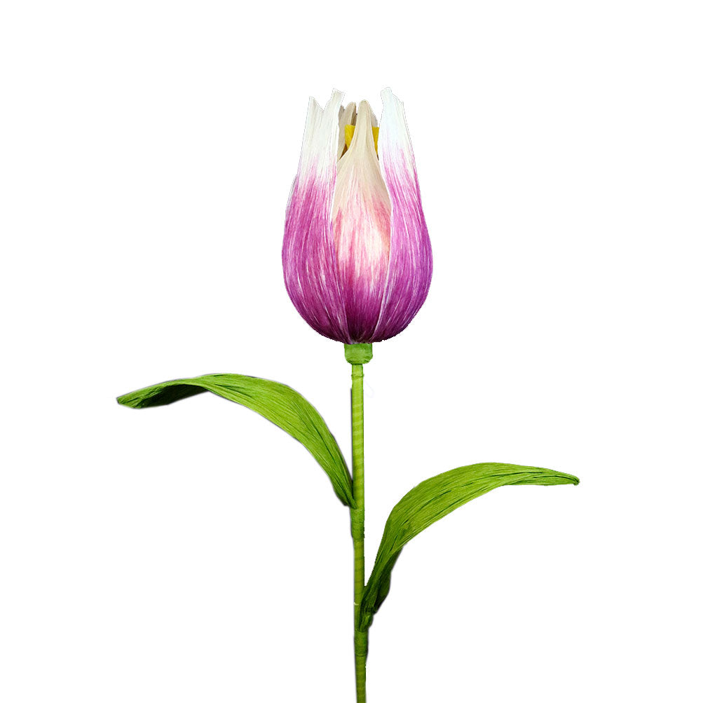 AC10101 GIANT TULIP,65in-8P/6.71' – Green Import Limited