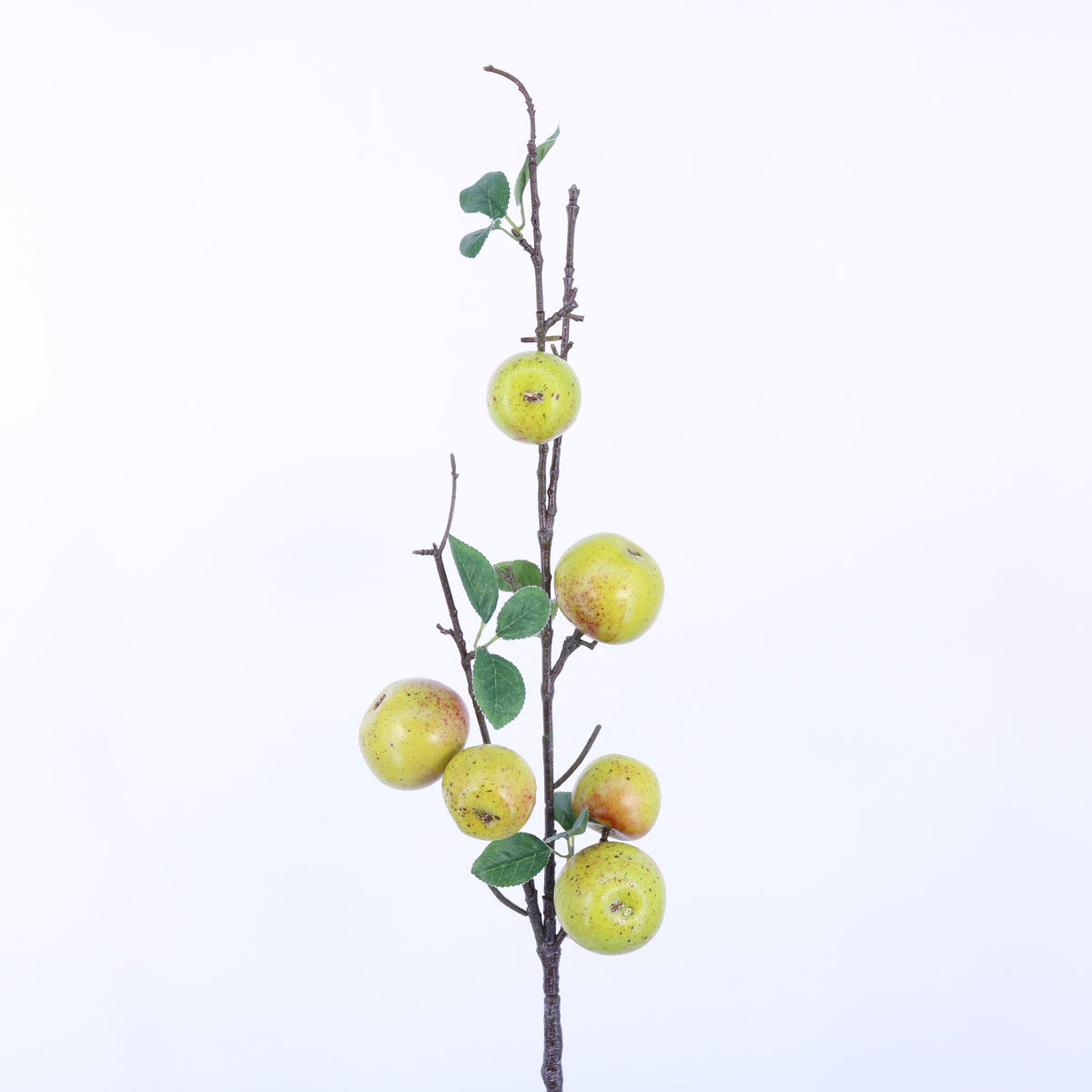 Fruit – Green Import Limited