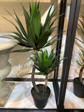 UVT1108 POTTED AGAVE (UV),37"