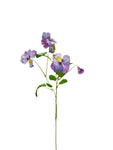FL13574 PANSY SPRAY 12in-48/480P