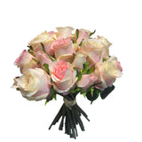 PA10401 ROSE BQTx25F 11"