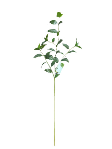 SY11130  SMILAX SPRAY 33"