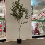 TR10501 POTTED OLIVE/BERRY TREE,6'-6P/4.6'