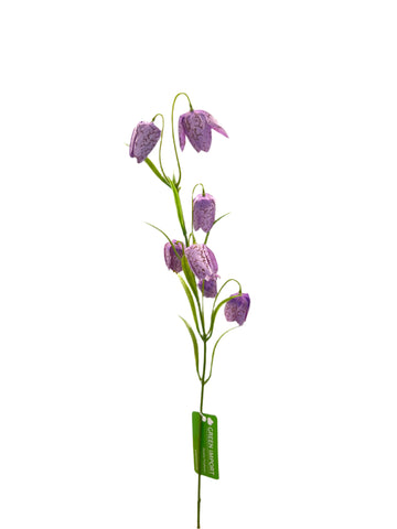 FL13533 FRITILLARIA SPRAYx7F 24"