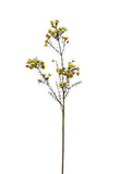 FL13555  WAX FLOWER SPRAY 31"