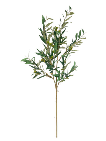 SY11075 OLIVE BRANCH,56"