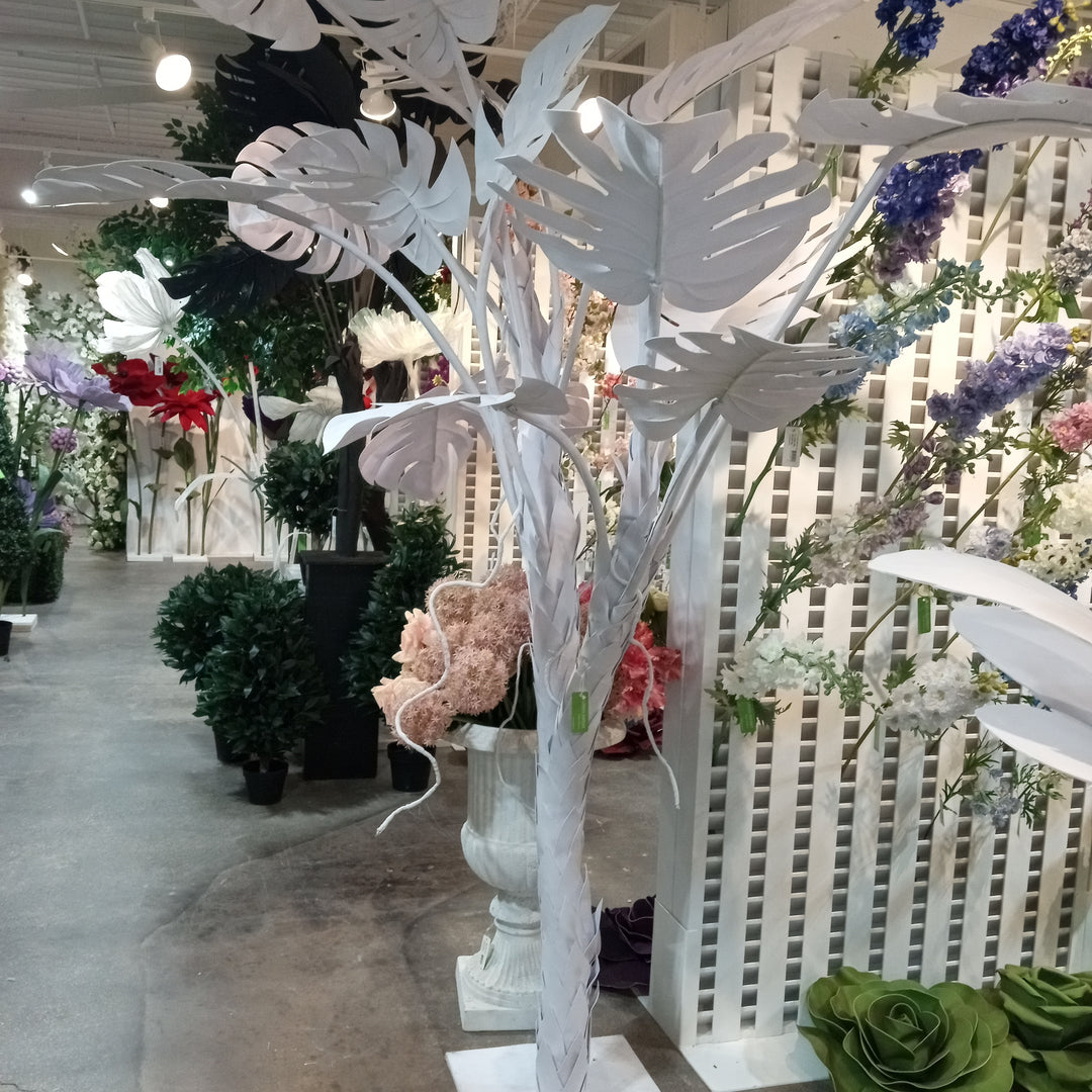 Ranunculus – Green Import Limited