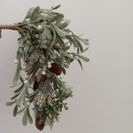 XM12166 FR MIXED MISTLETOE/PCONE SWAG,20in