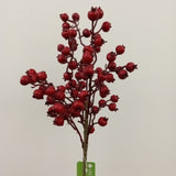 BE10123 ROSEHIP BUSH (WTR-PF),17.5in-12P/60