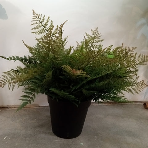 PM10379 POTTED FOREST FERN,29"