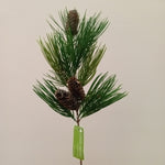 XM12449 NEEDLE PINE w/PINECONE SP,20in-12P