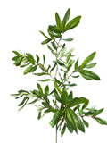 SY11122  OLIVE SPRAY 38"