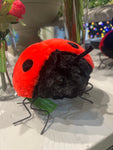 AC10525 LADYBUG D10in