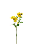 FL13574 PANSY SPRAY 12in-48/480P