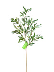 SY11122  OLIVE SPRAY 38"