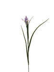 FL13571 IRIS 27.5in-36/360P