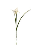 FL13571 IRIS 27.5in-36/360P