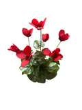 FN20057  CYCLAMEN BUSH (NAT) 14"