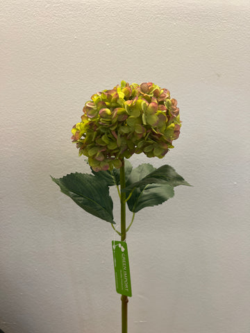 FL13611 ANNABELLA HYDRANGEA 33"