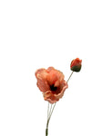 FL13616 POPPY SPRAYx2F1B 19.5"