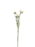 FL13534 CORN FLOWER SPRAYx3F 28"