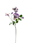 FL13574 PANSY SPRAY 12in-48/480P