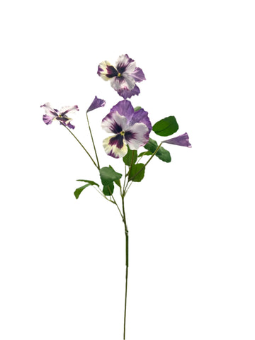 FL13574 PANSY SPRAY 12in-48/480P