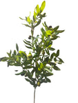 SY11123  OLIVE w/OLIVES SPRAY 46"