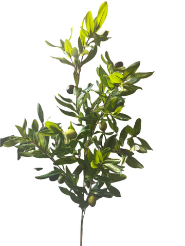 SY11123  OLIVE w/OLIVES SPRAY 46"