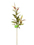 SY11133  COLEUS LEAF SPRAY 36"