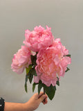 BF10265 PEONY BUSHx5F 18"