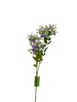 FL13514 STEPHANOTIS SPRAYx3 32"