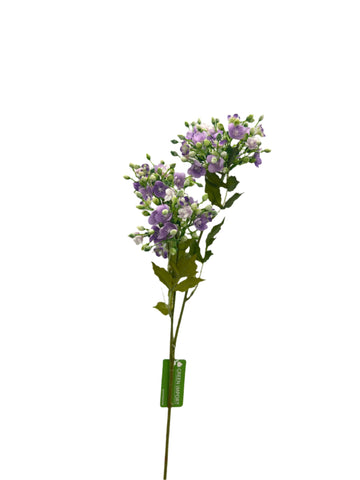 FL13514 STEPHANOTIS SPRAYx3 32"