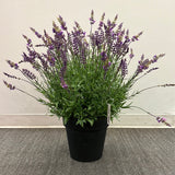 PA10353 POTTED LAVENDER,27"