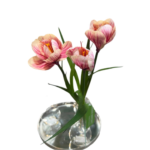 FN20056  CROCUSx3F (NAT) 13"