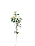 FL13523 WILD BLOSSOM SPRAYx7 26.5"