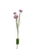 FL13534 CORN FLOWER SPRAYx3F 28"