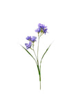 FL13606 FREEZIA SPRAYx2 (NAT) 25in-36/432P