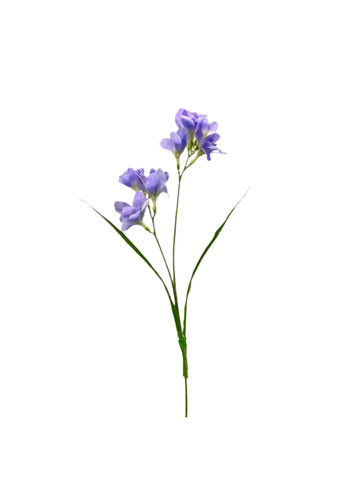 FL13606 FREEZIA SPRAYx2 (NAT) 25in-36/432P