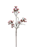 FL13555  WAX FLOWER SPRAY 31"