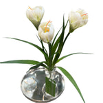 FN20056  CROCUSx3F (NAT) 13"