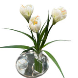 FN20056  CROCUSx3F (NAT) 13"