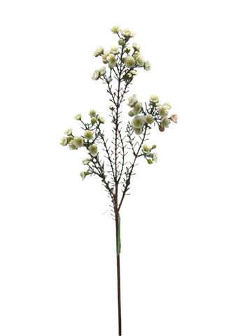 FL13555  WAX FLOWER SPRAY 31"