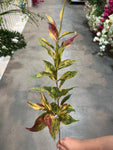 SY11133  COLEUS LEAF SPRAY 36"