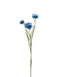 FL13534 CORN FLOWER SPRAYx3F 28"