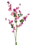 FL13512 SWEET PEA SPRAYx5 55"