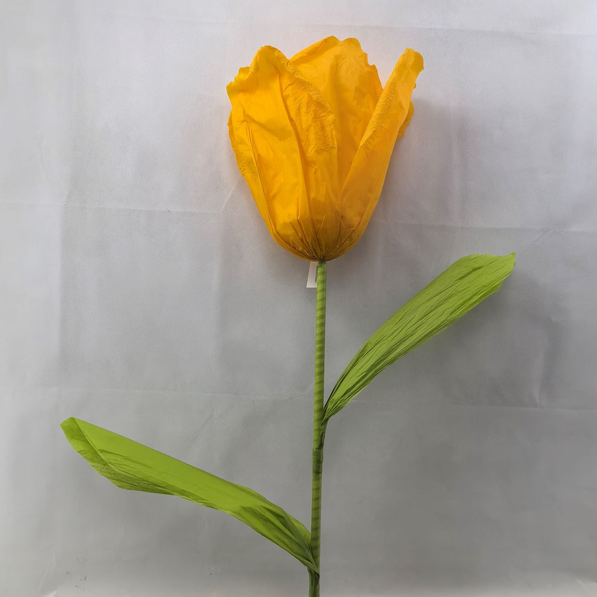 AC10435 GIANT TULIP,6' – Green Import Limited