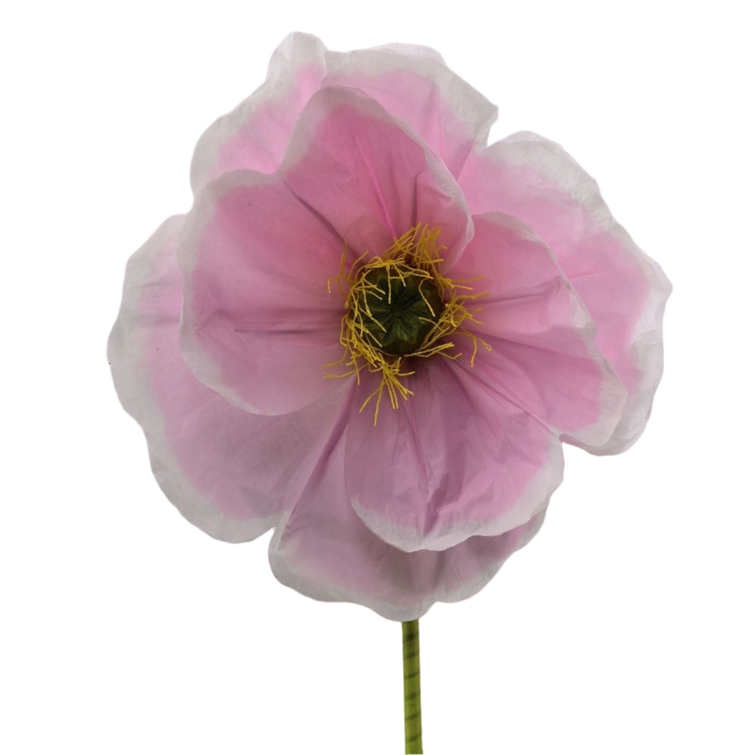 Poppy – Green Import Limited