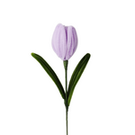 AC10504 TULIP 14in-24/96P