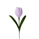 AC10504 TULIP 14in-24/96P